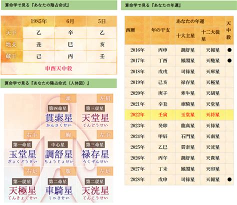 学算命|無料で算命学の命式を算出 